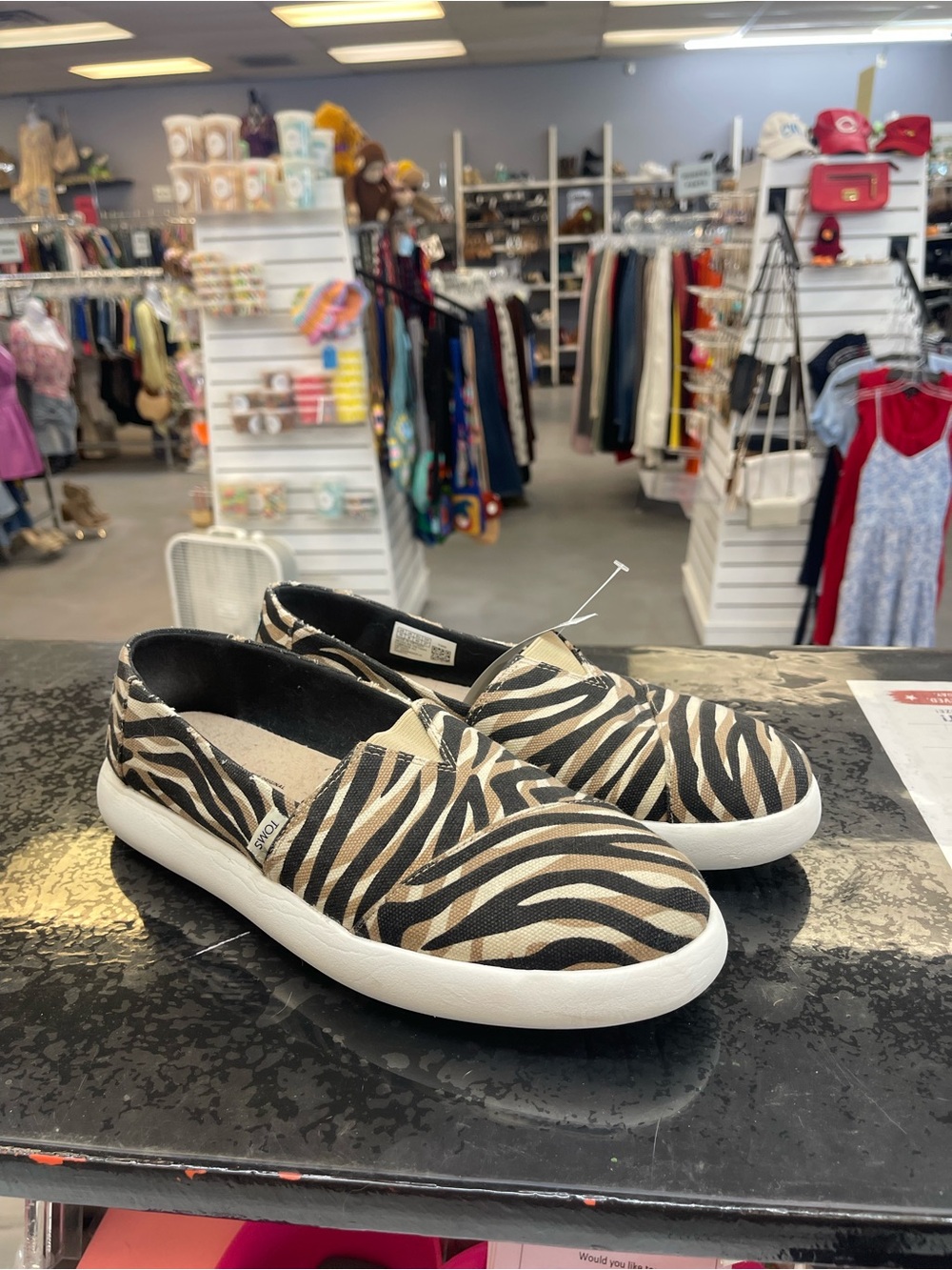 Toms Zebra Print Slip-On Sneakers in Black and Tan